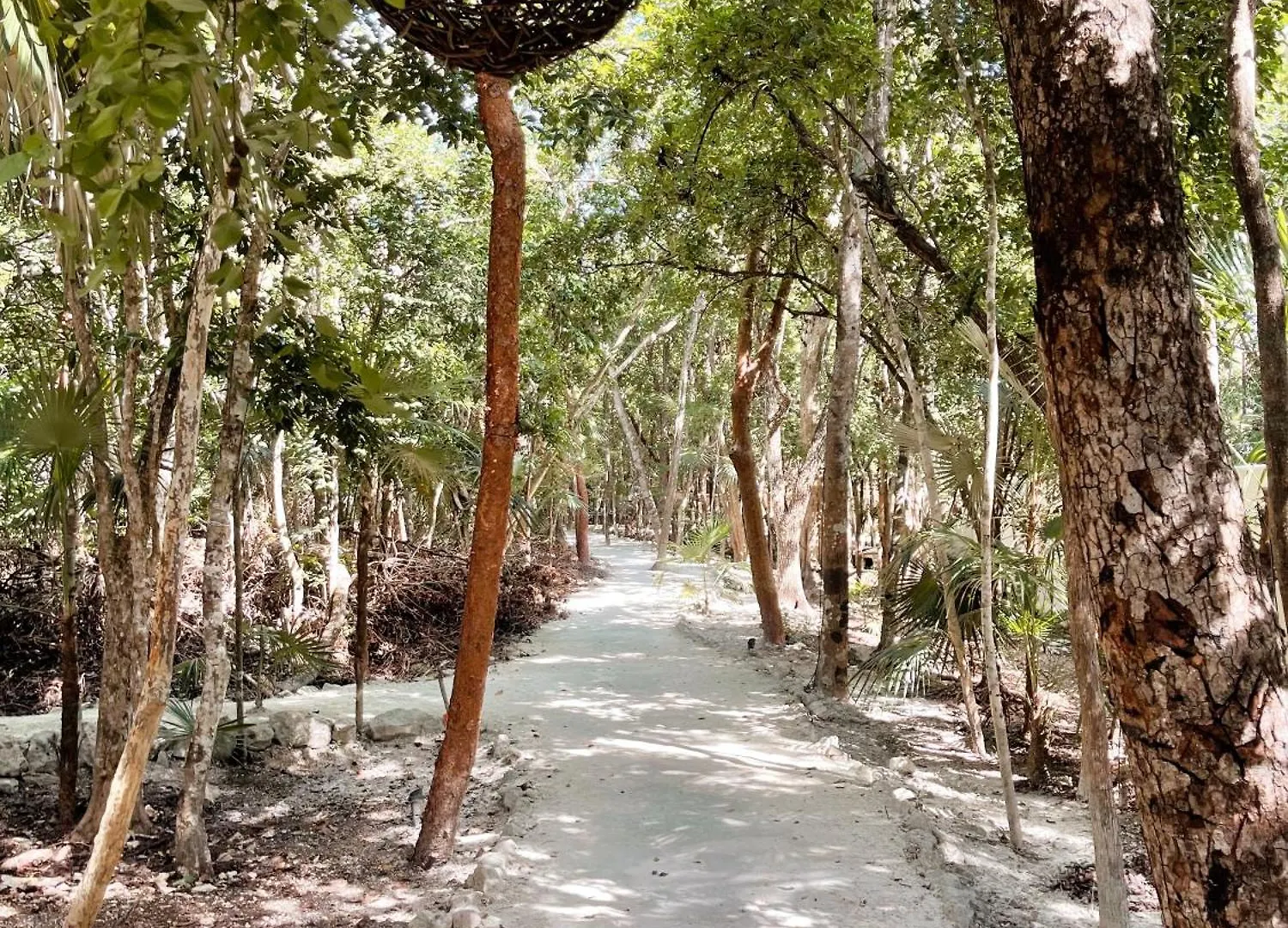 Kataleya Tulum: Luxury Jungle Penthouse with Private Pool Apartment
